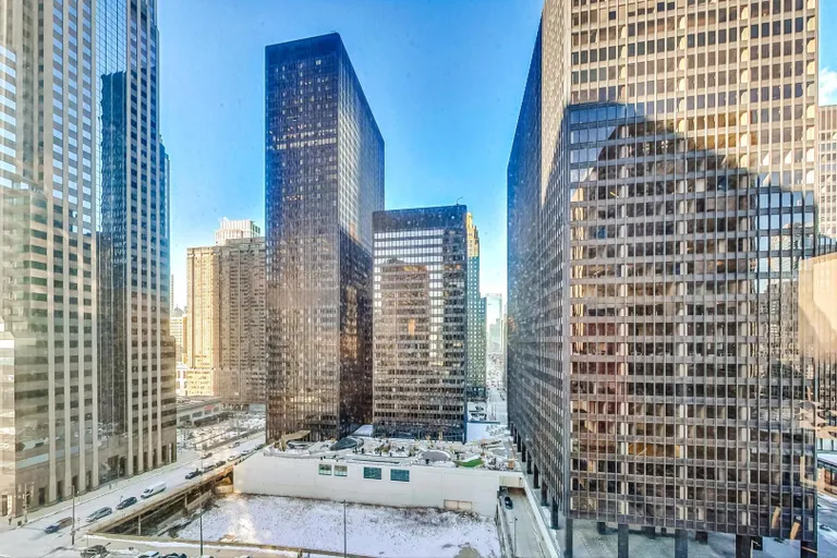 Chicago Real Estate | View 222 N Columbus, 1304 | room 6 | View 7
