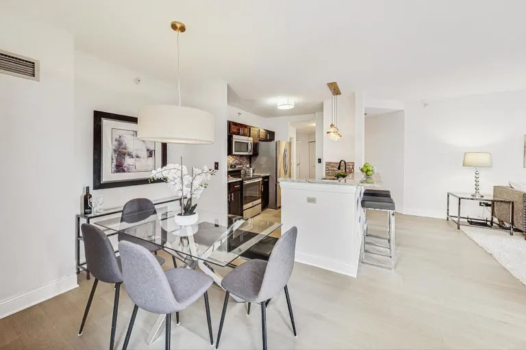 Chicago Real Estate | View 222 N Columbus, 1304 | room 5 | View 6