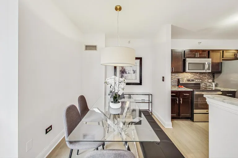 Chicago Real Estate | View 222 N Columbus, 1304 | room 4 | View 5