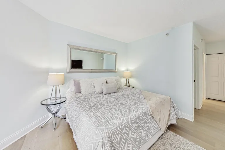 Chicago Real Estate | View 222 N Columbus, 1304 | room 11 | View 12