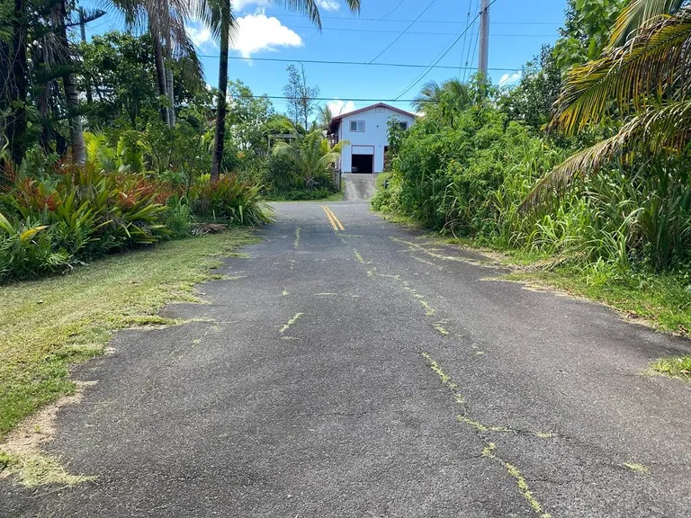 New York City Real Estate | View 12-7010 KEKAIKOLO ST | room 2 | View 3