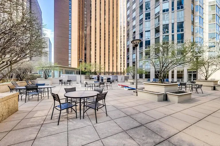 Chicago Real Estate | View 222 N Columbus, 4803 | room 22 | View 23