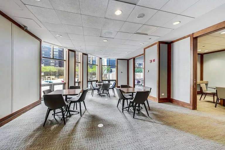 Chicago Real Estate | View 222 N Columbus, 4803 | room 28 | View 29