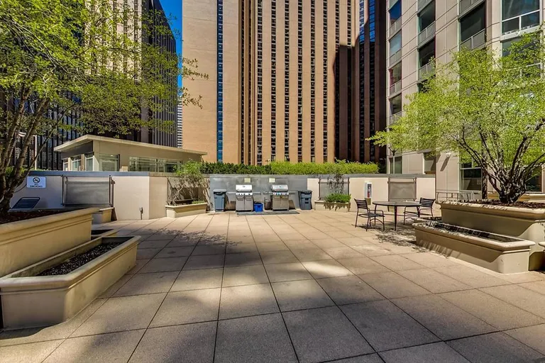 Chicago Real Estate | View 222 N Columbus, 4803 | room 20 | View 21
