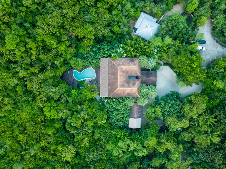 New York City Real Estate | View Bespoke Bali-Style Jungle Retreat | Corcoran - NS Inna Di Bush Drone-2 | View 4