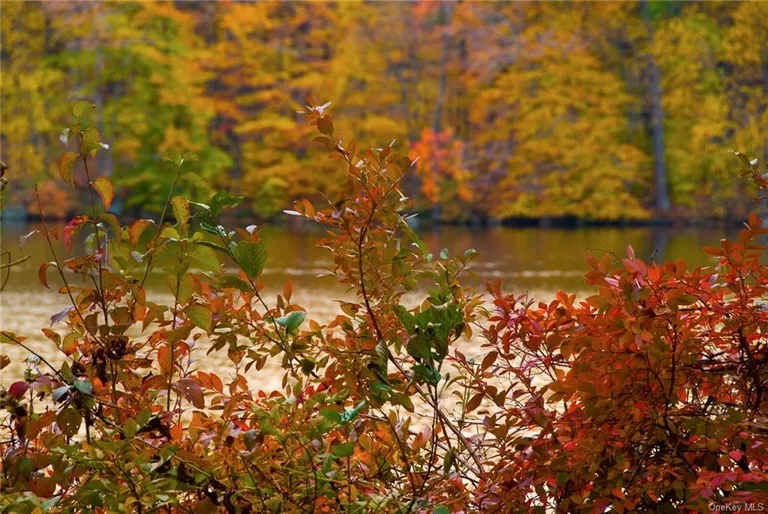 New York City Real Estate | View 24 Beaver Pond Road | Fall Foliage on Lake | View 29