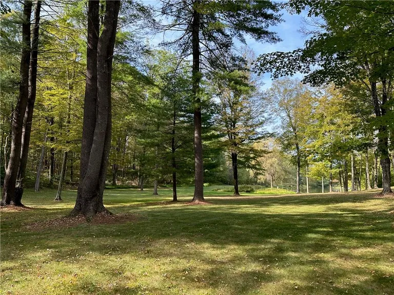 Hudson Valley Real Estate | View 259 Woodstock Road | room 35 | View 36