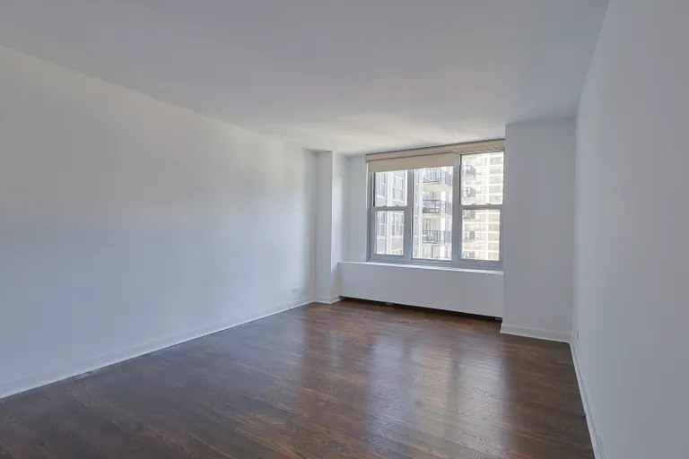 Chicago Real Estate | View 400 E Randolph, 1824 | room 11 | View 12