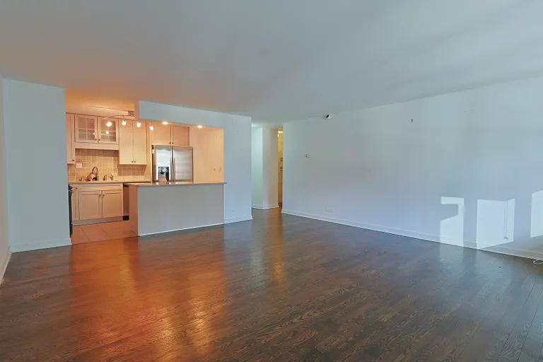 Chicago Real Estate | View 400 E Randolph, 1824 | room 8 | View 9