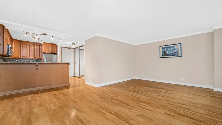 New York City Real Estate | View 400 E Randolph, 916 | room 4 | View 5