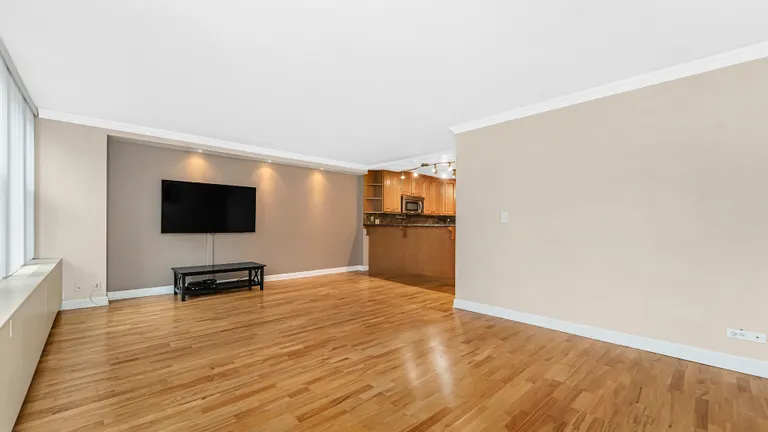 New York City Real Estate | View 400 E Randolph, 916 | room 3 | View 4