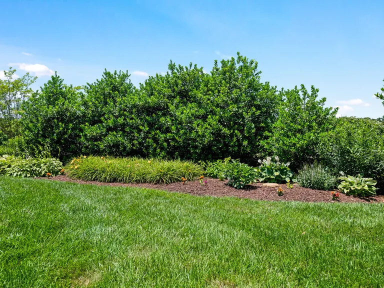 Charlotte Real Estate | View 11338 Olde Turnbury Court | room 2 | View 3