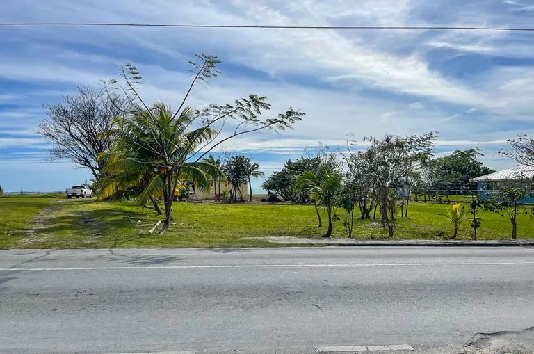 New York City Real Estate | View 2 Parcel of Land - High Rocks, Abaco | Yellow Elder - Abaco Property-09 | View 7