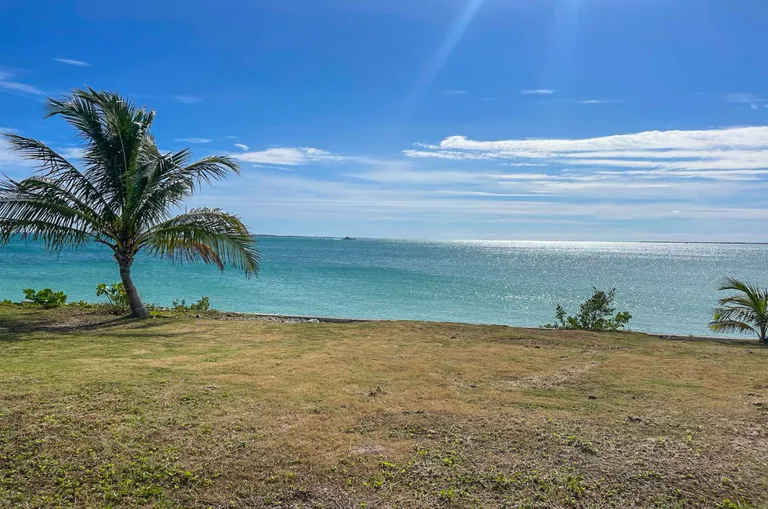 New York City Real Estate | View 2 Parcel of Land - High Rocks, Abaco | Yellow Elder - Abaco Property-03 | View 5