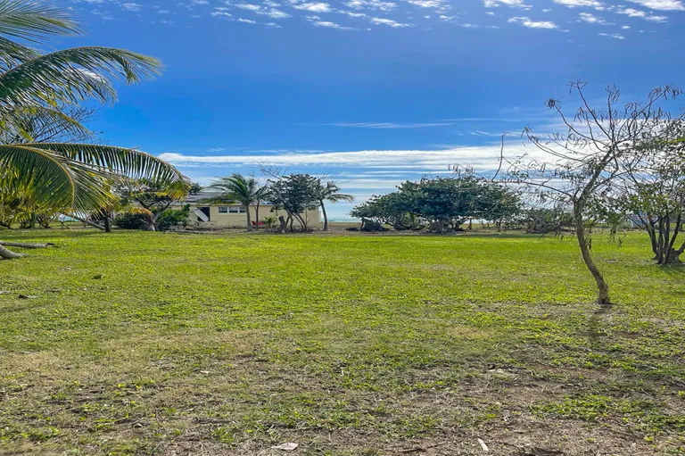 New York City Real Estate | View 2 Parcel of Land - High Rocks, Abaco | Yellow Elder - Abaco Property-05 | View 6