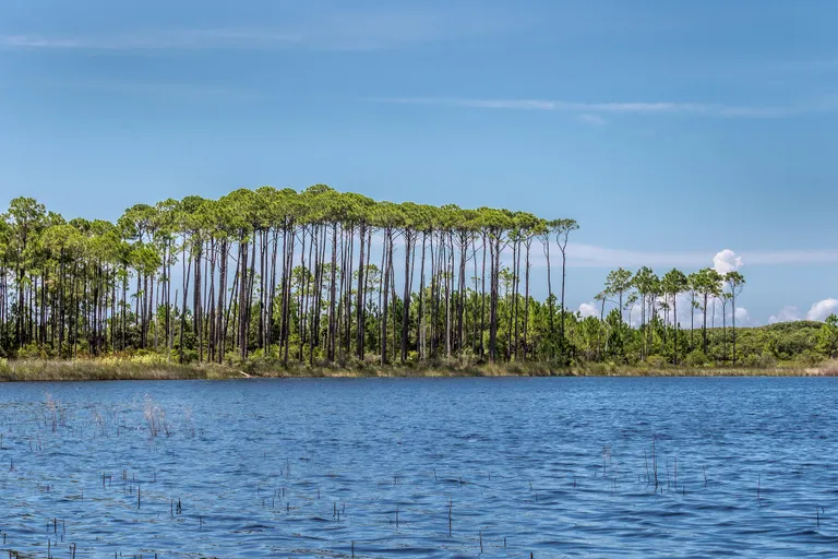 Northwest Florida Real Estate | View 1848 E County Highway 30A UNIT 4 | room 82 | View 83