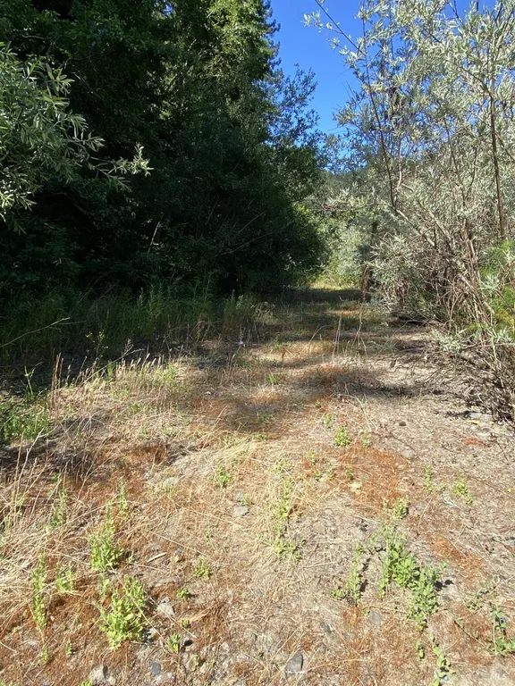 17280 Neeley Road, Guerneville, CA 95446 Property for sale