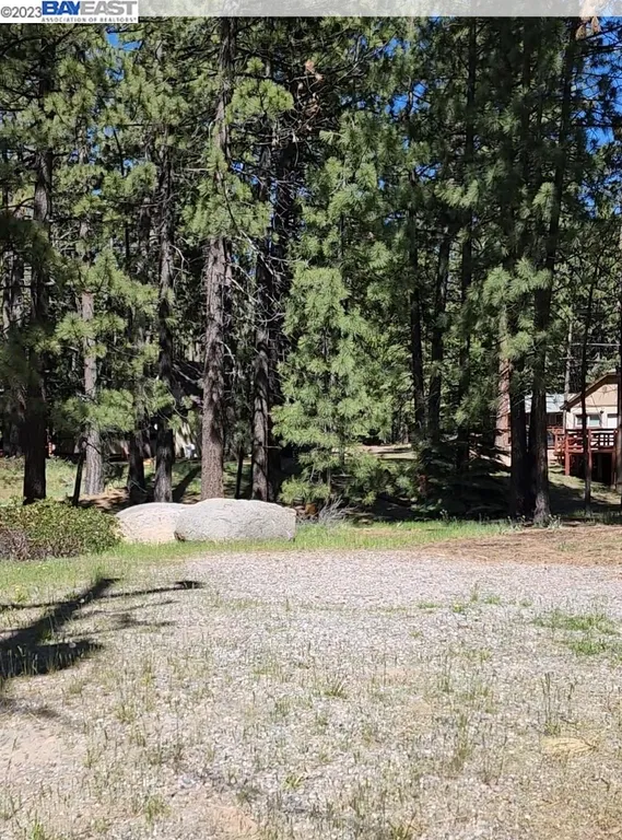 Pioneer trail group campground sale