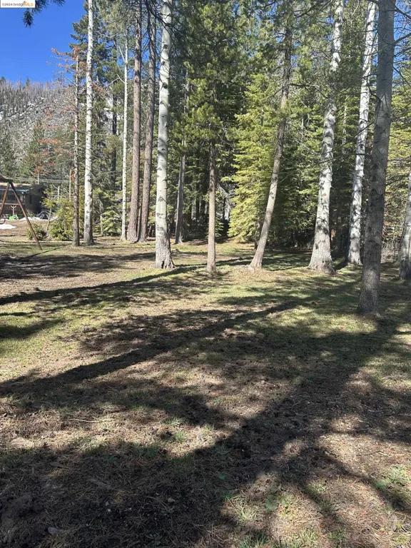 New York City Real Estate | View 3287 S Upper Truckee Rd | Listing | View 8