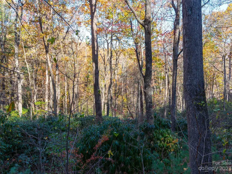 216 Kenmure Drive, Flat Rock, NC 28731 Property for sale