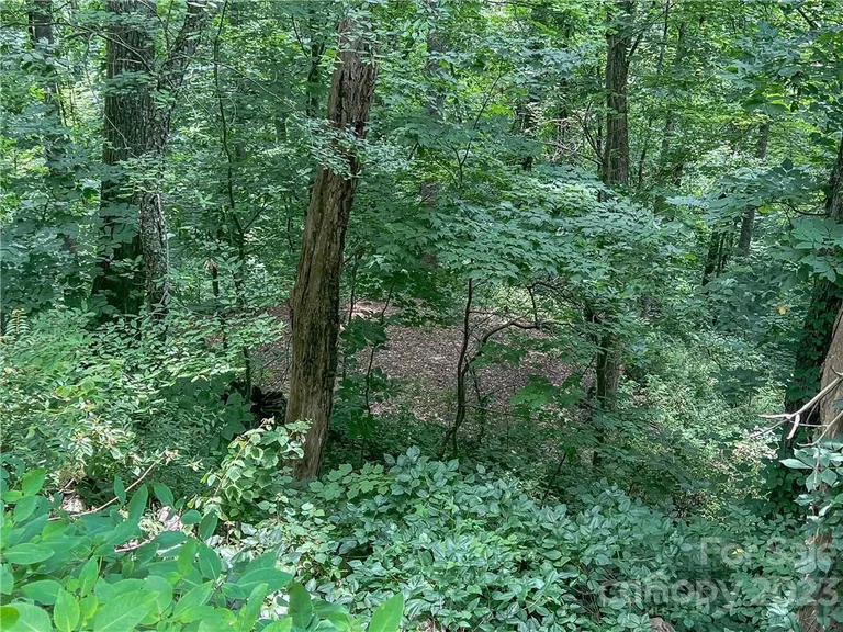 999999 Town Mountain Road, Asheville, NC 28804 Property for sale