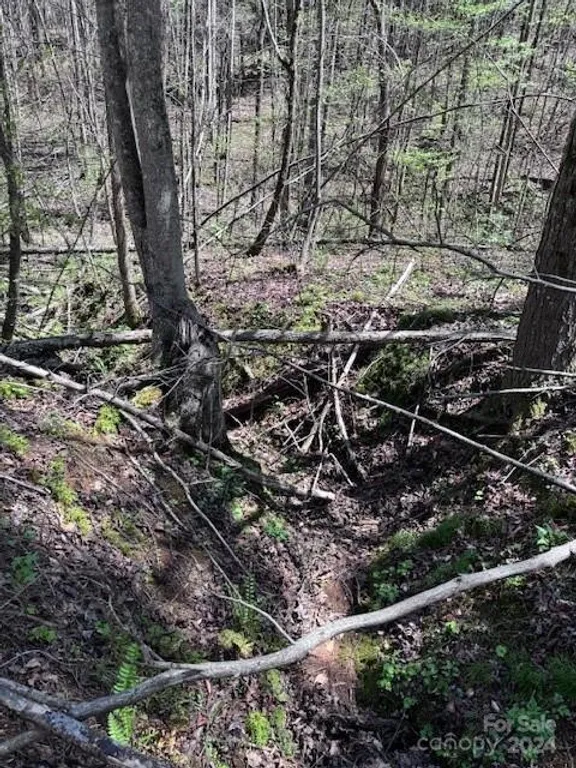 5045 Old Hickory Tree, NC 28655 Property for sale