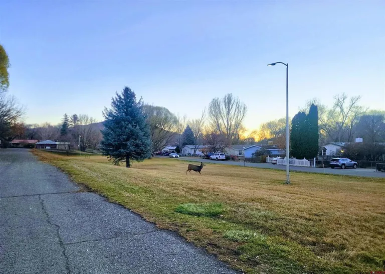 508 Box Elder Avenue, Paonia, CO 81428 Property for sale