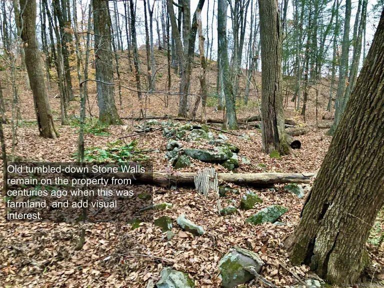 210 Newgate Road, East Granby, CT 06026 Property for sale