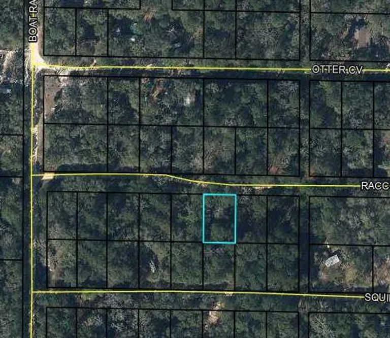 00 Raccoon Run, Caryville, FL 32425 Property for sale