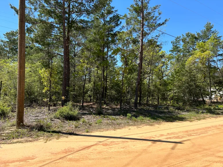 TBD Cowslip Court DeFuniak Springs FL 32433 Property for sale
