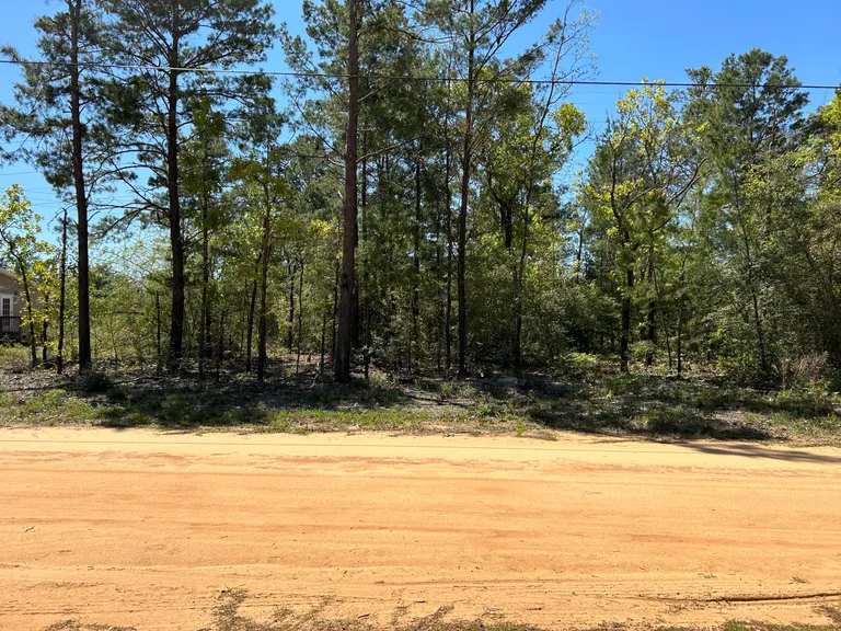 TBD Cowslip Court DeFuniak Springs FL 32433 Property for sale