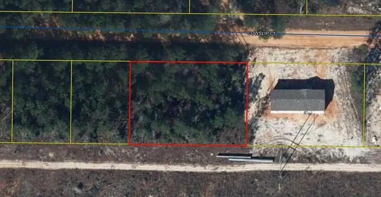 TBD Cowslip Court DeFuniak Springs FL 32433 Property for sale
