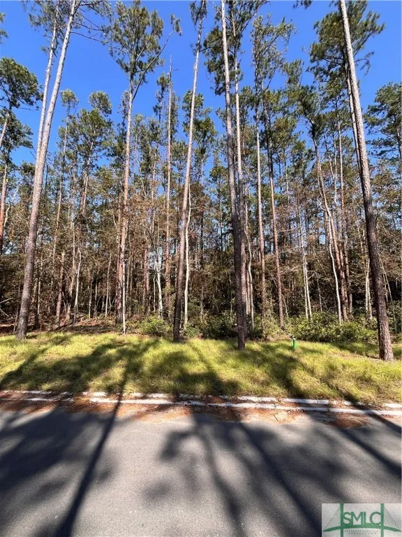 273 Enclave, Richmond Hill, GA 31324 Property for sale