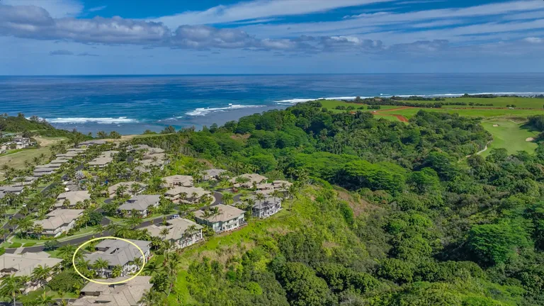 Hawaii Real Estate | View 4100 QUEEN EMMA'S DR, 7 | Listing | View 29