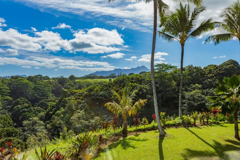 Hawaii Real Estate | View 4100 QUEEN EMMA'S DR, 7 | Listing | View 18