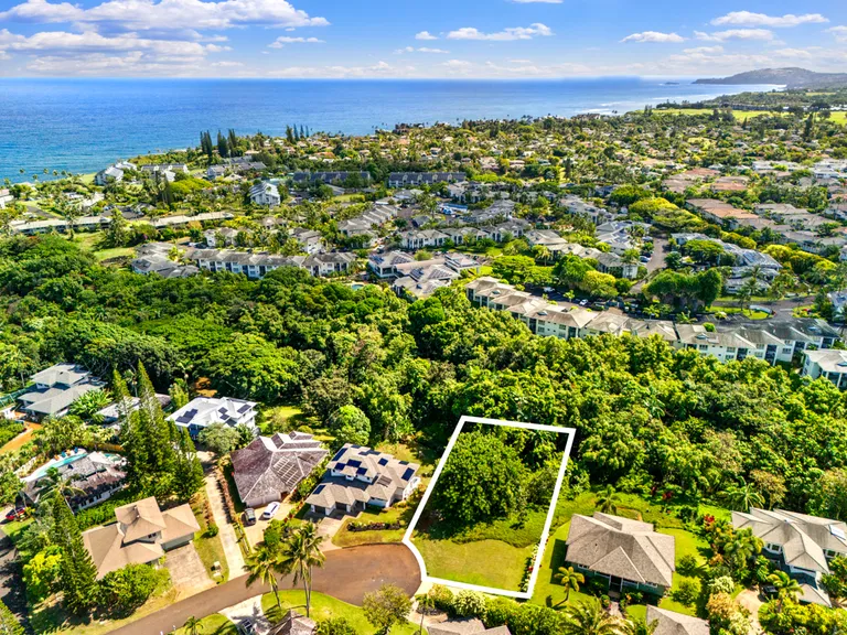Hawaii Real Estate | View IOLANI PL | Listing | View 6