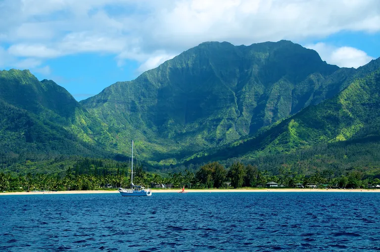Hawaii Real Estate | View IOLANI PL | Listing | View 8
