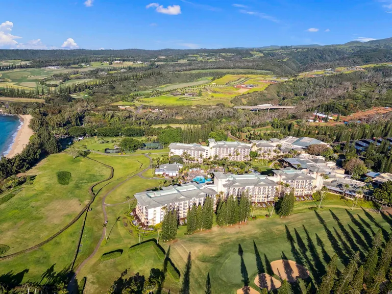 1 Ritz Carlton 1125, Lahaina, HI 96761 Property for sale