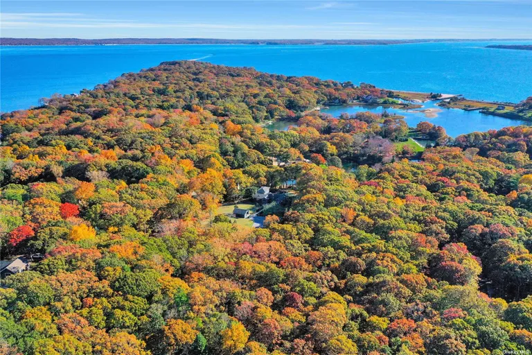 New York City Real Estate | View 1355 Little Peconic B Road | Listing | View 7