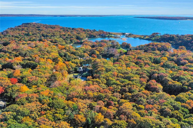 New York City Real Estate | View 1355 Little Peconic B Road | Listing | View 8