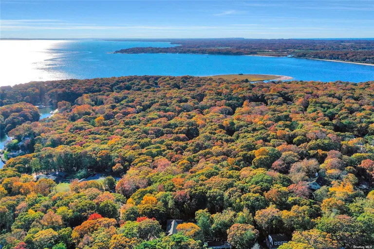 New York City Real Estate | View 1355 Little Peconic B Road | Listing | View 4