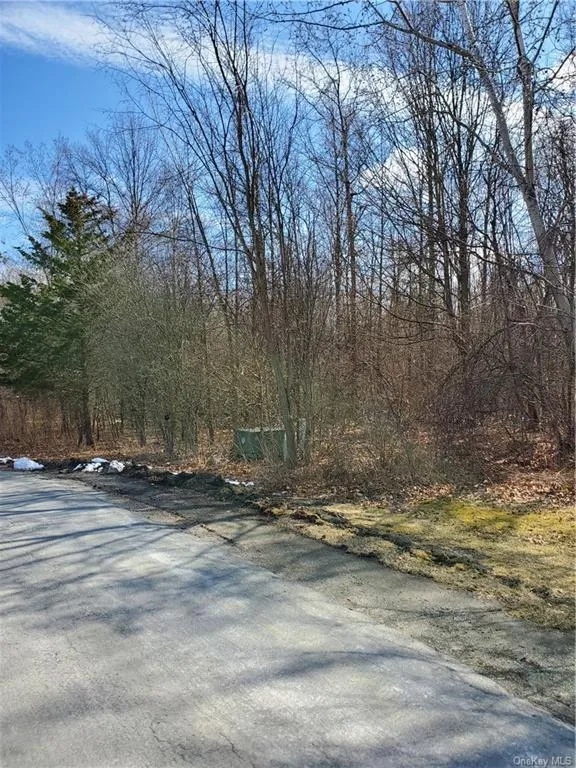 Beattie Beattie Rd & Liberty Ct, New Windsor, NY 12553 Property for sale