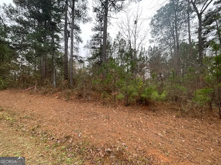 2601 Carey Station Road, Greensboro, GA 30642 Property for sale