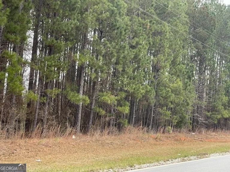 2601 Carey Station Road, Greensboro, GA 30642 Property for sale