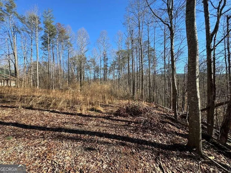 9770 Big Creek Road 22, Ellijay, GA 30536 Property for sale