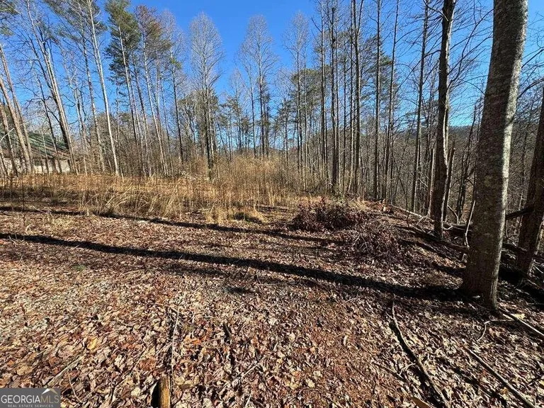 9770 Big Creek Road 22, Ellijay, GA 30536 Property for sale