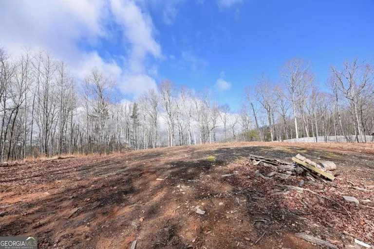 LOT 98 The Hills At Queens Gap, Blairsville, GA 30512 Property for sale
