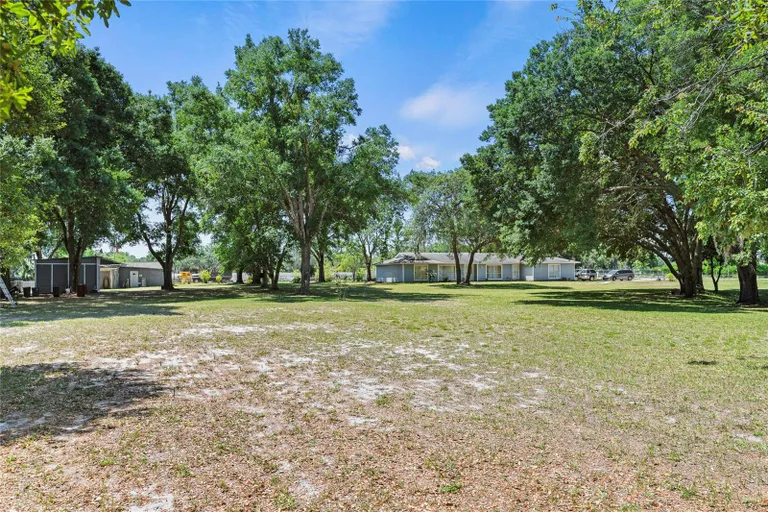 21010 WOLF BRANCH ROAD, MOUNT DORA, FL 32757 Property for sale
