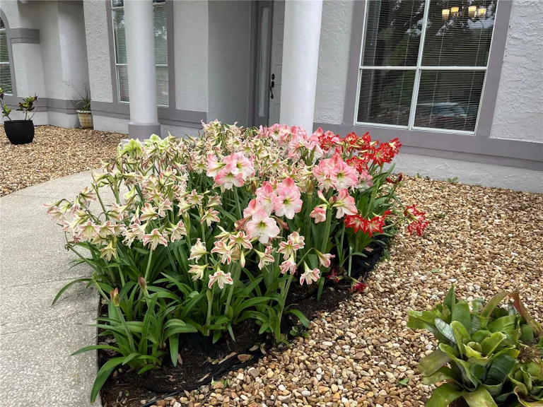 1555 Carillon Park Drive, OVIEDO, FL 32765 Property for sale