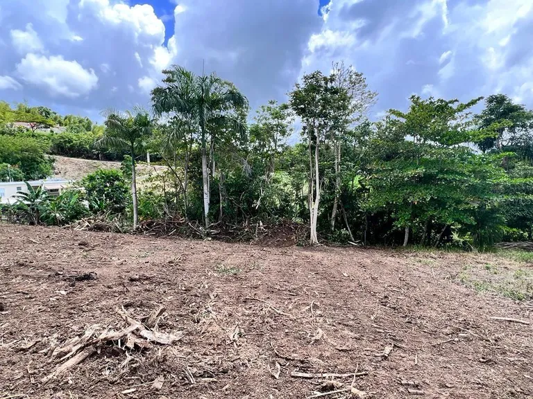 Carr 633 Lot 3 HM.KM 5.2 Barrio Barahona, MOROVIS, PR 00687 Property